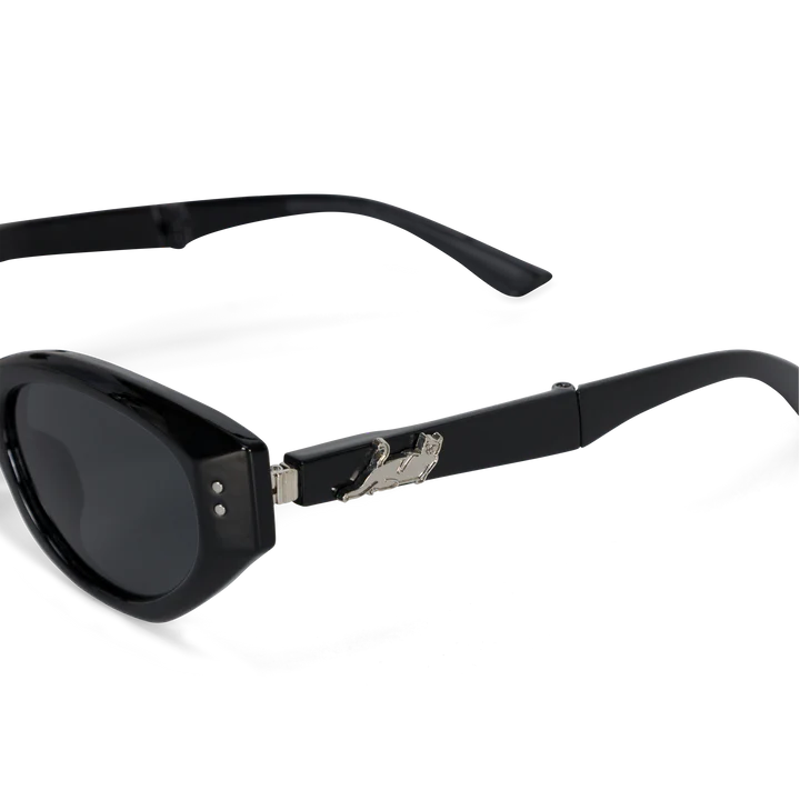 CASTANZA FOLDING SUNGLASSES ( BLACK ) RIPNDIP