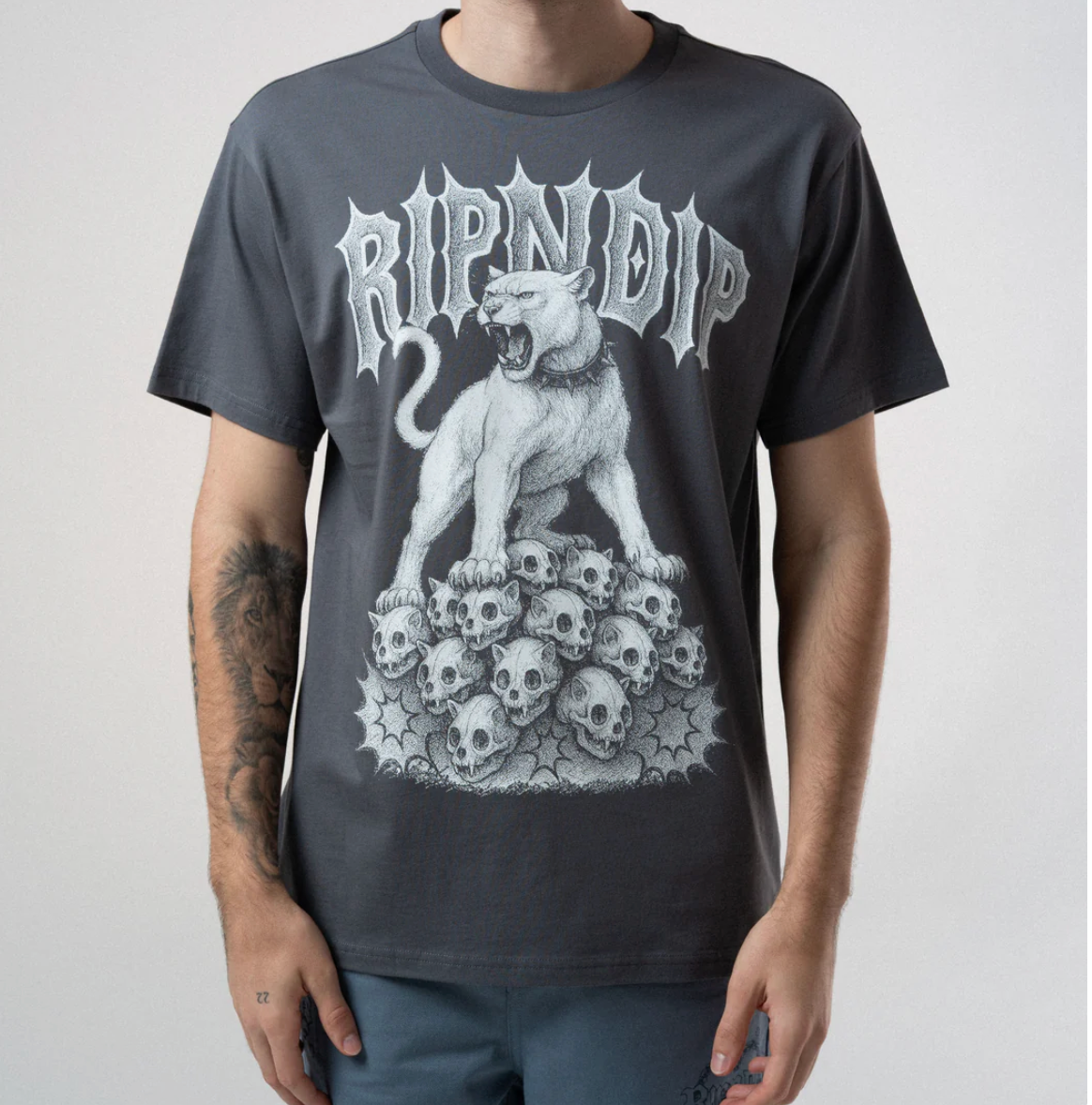 Wasteland Tee (Charcoal)