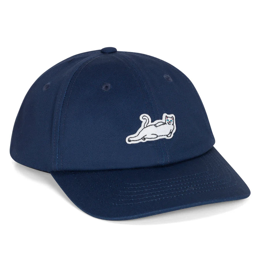 CATSTANZA DAD HAT ( NAVY )