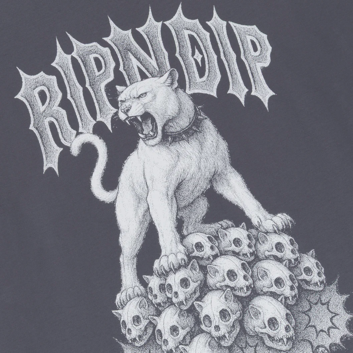 Wasteland Tee (Charcoal)