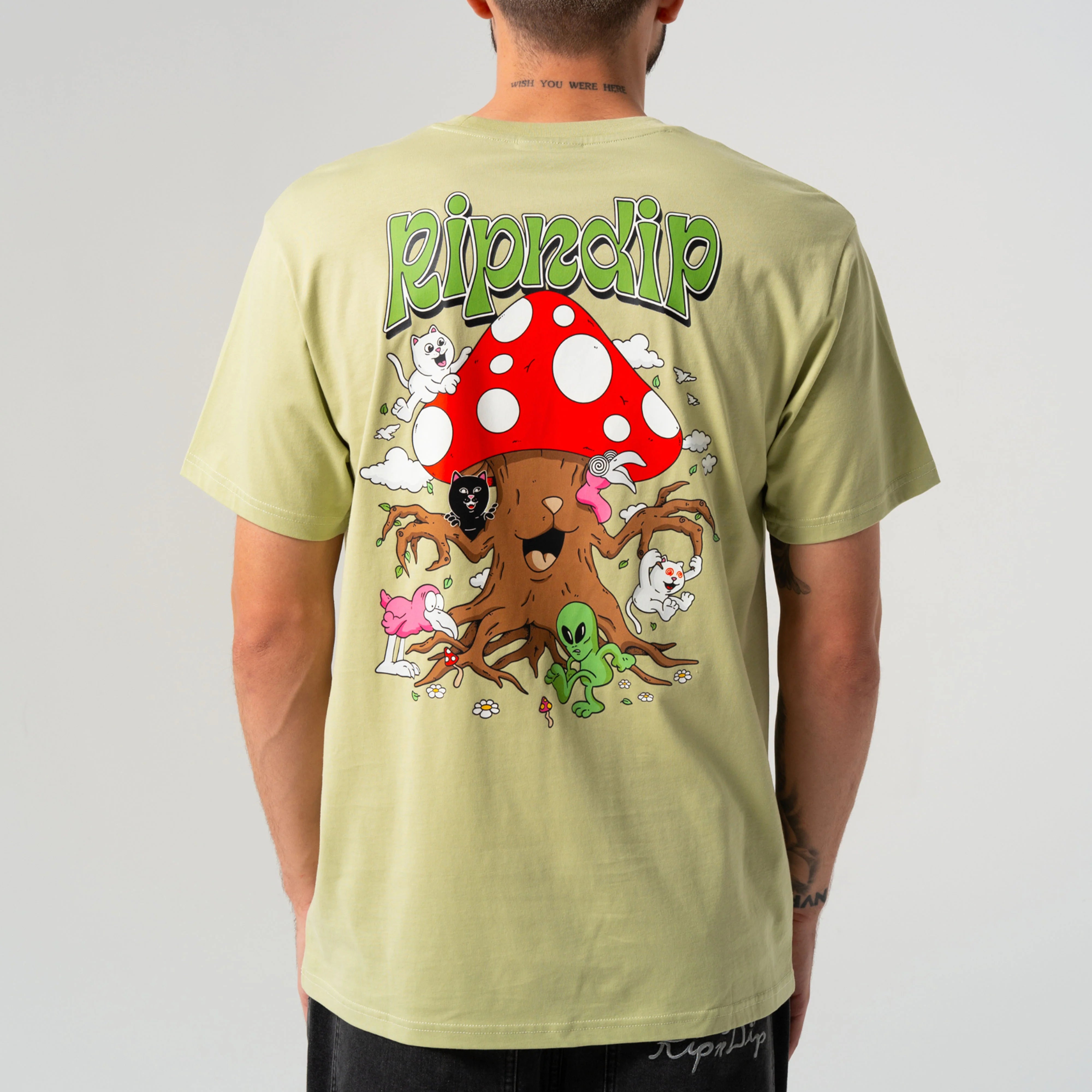 PLAYGROUND TEE ( LIGHT MOSS )